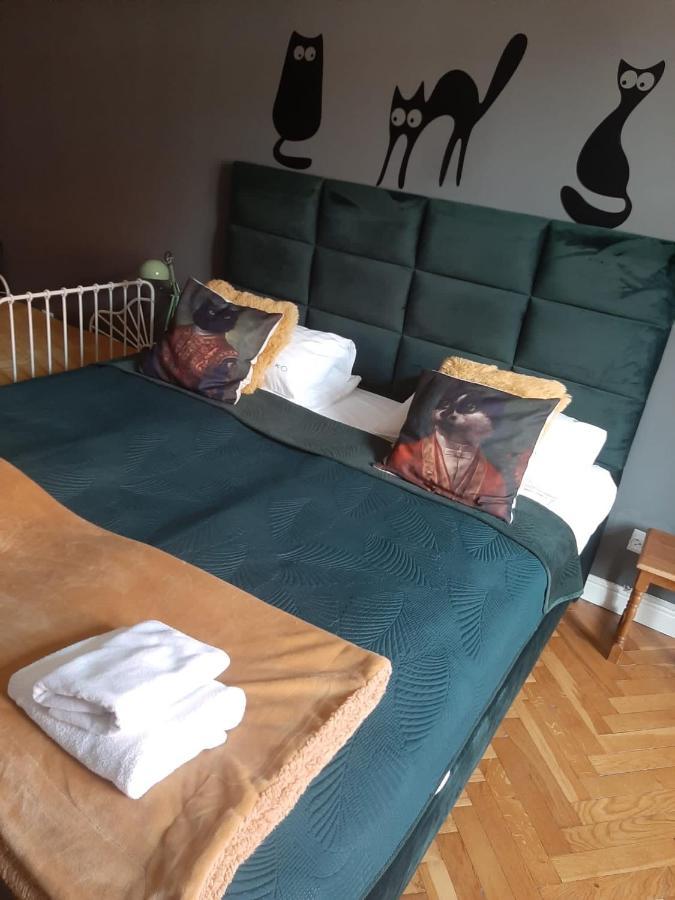 Apartament Koci Leb Stary Toruń Exteriér fotografie